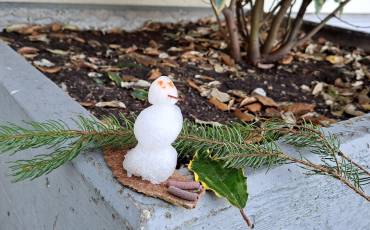 20251119_143050_original_copy_1